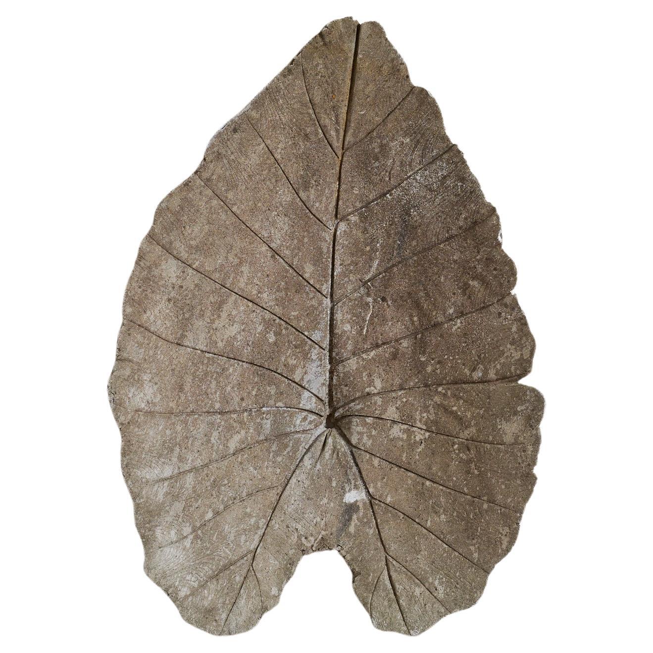 Hoja grande de hormigón al estilo de Willy Guhl en venta