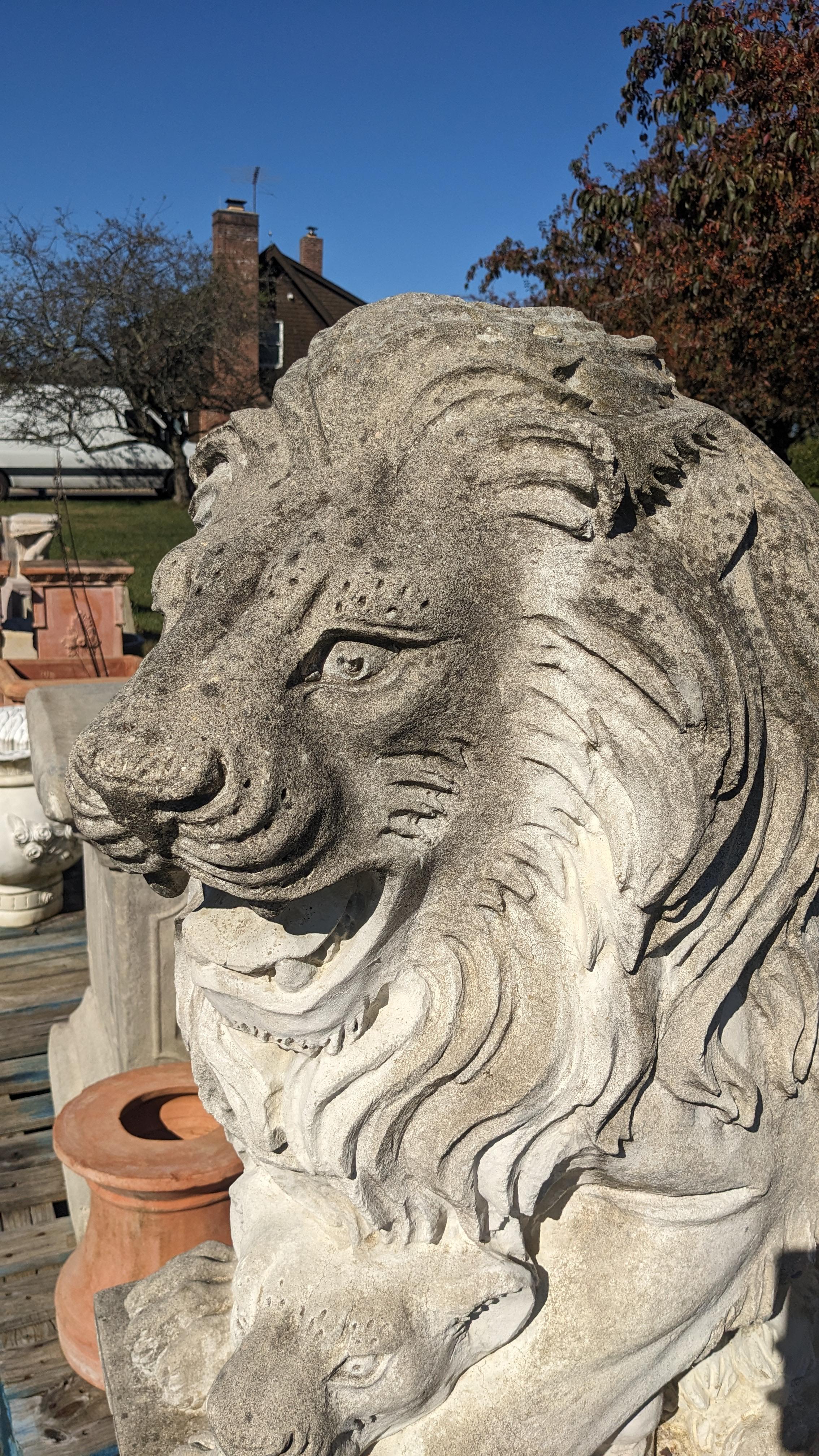 Grande statue de lion et lionceau assis en béton sur socle Entrée de jardin Porte 50