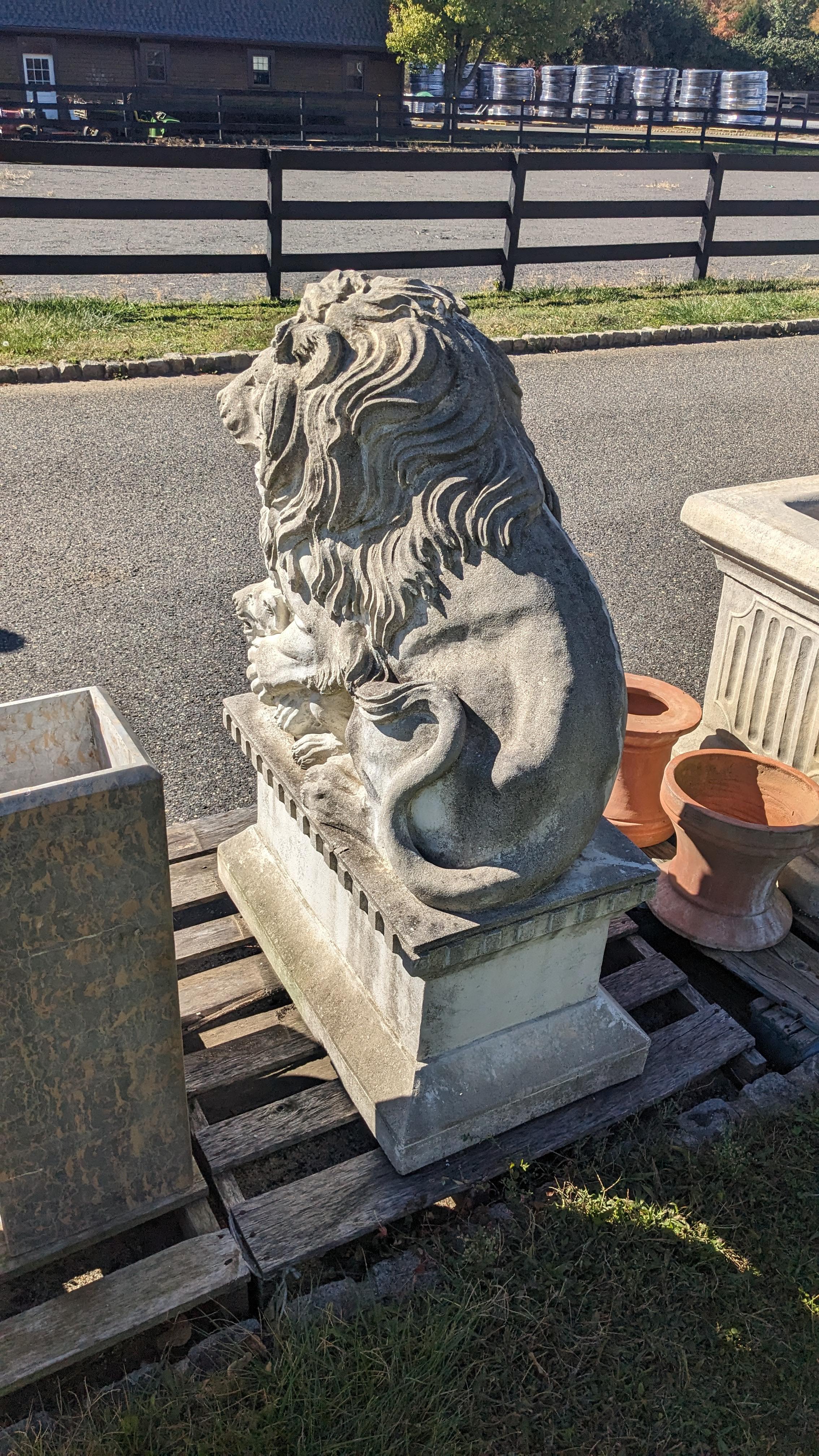 20ième siècle Grande statue de lion et lionceau assis en béton sur socle Entrée de jardin Porte 50