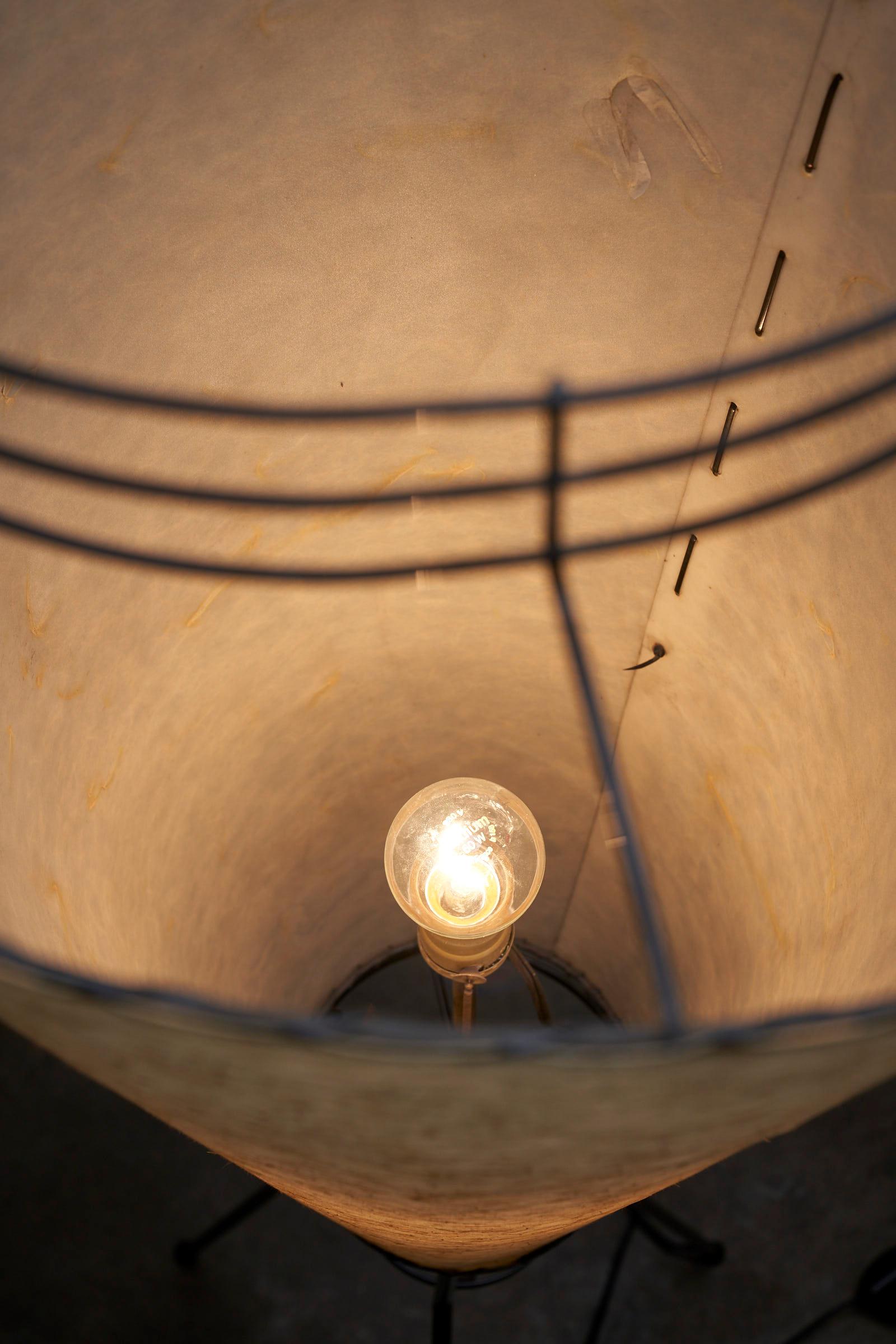 Grand lampadaire à trois pieds en forme de cône d'Archaic Smile Inc., États-Unis en vente 3
