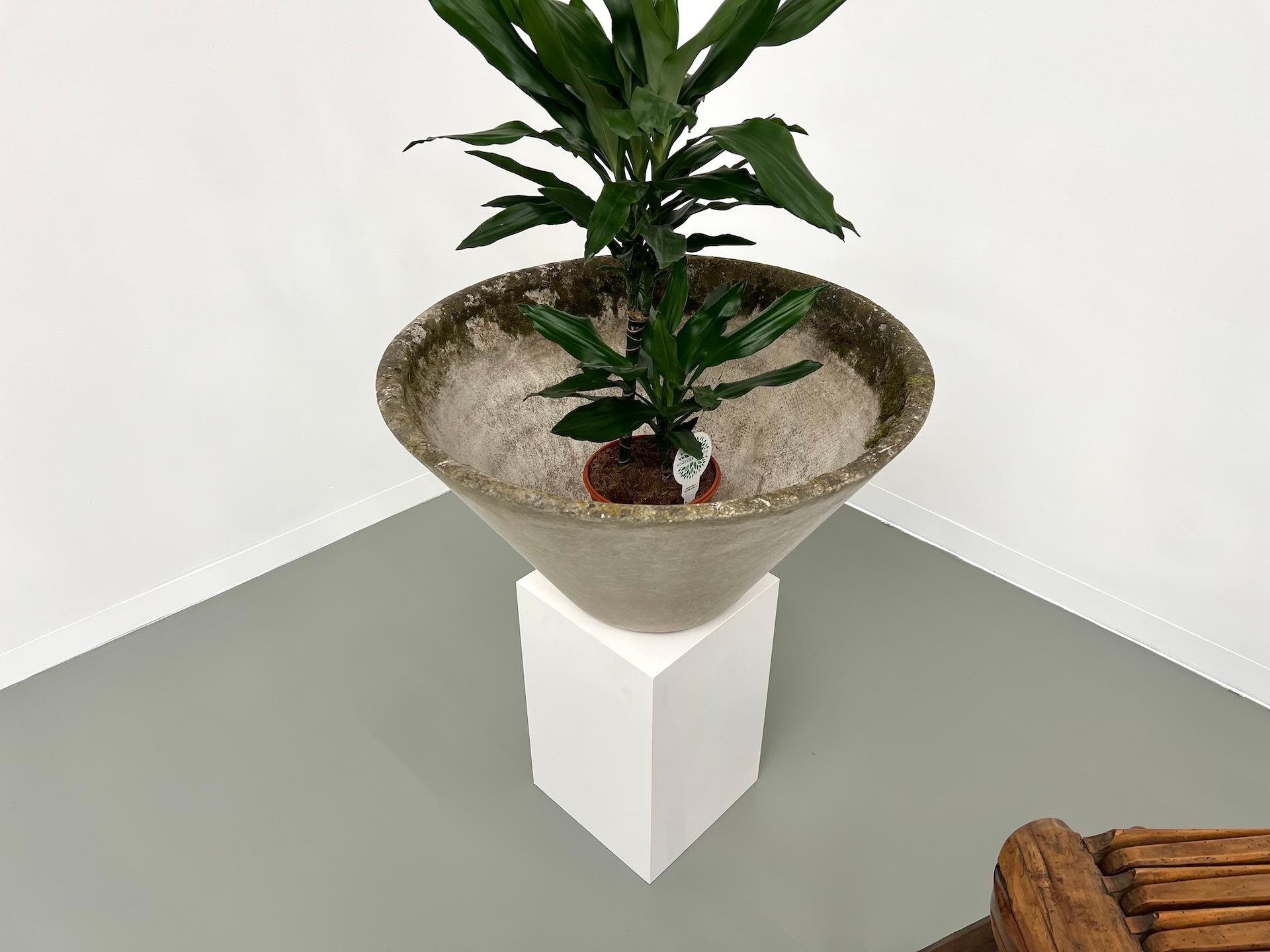 Suisse Grande jardinière conique Willy Guhl, France, années 1950 en vente