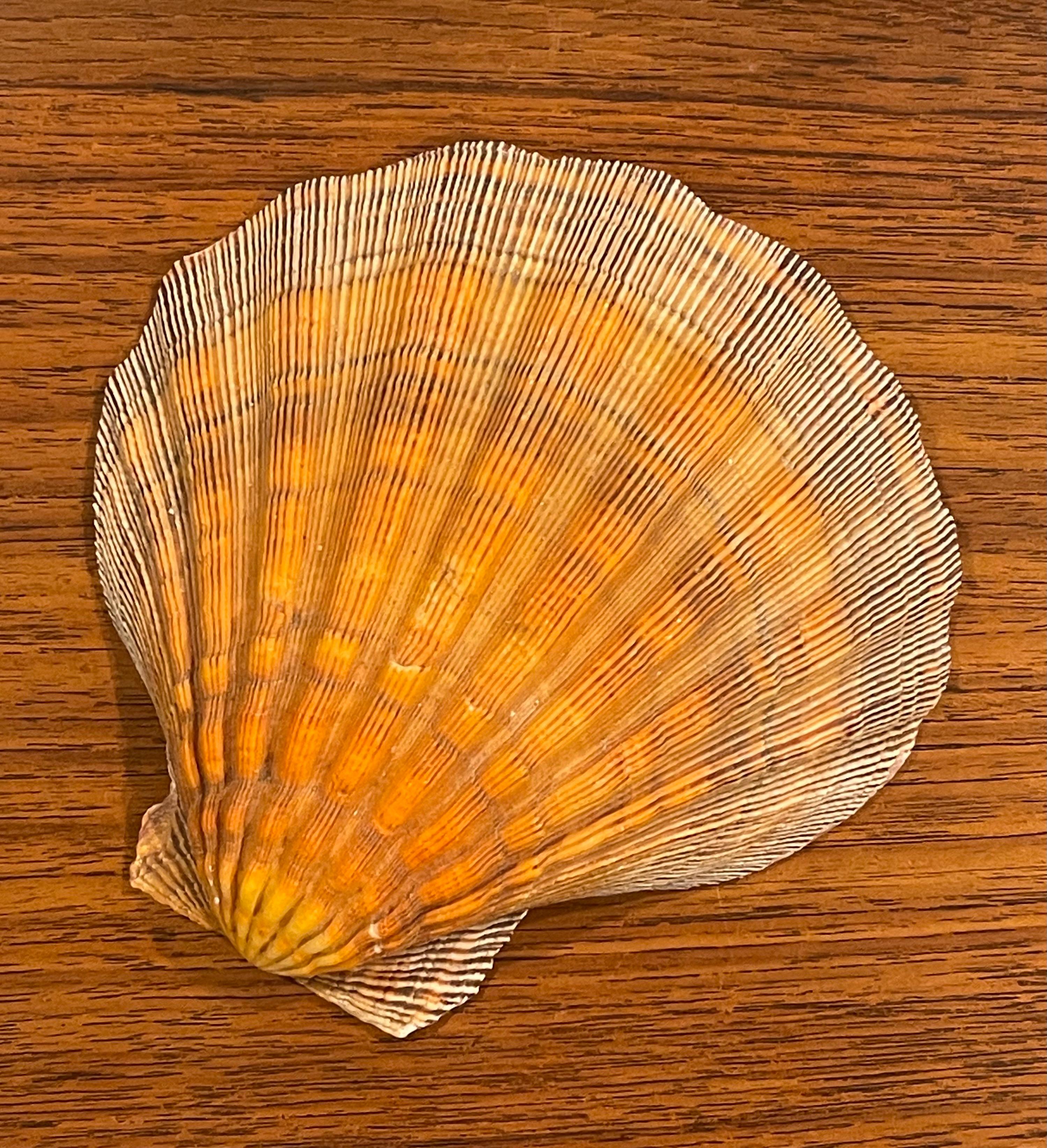 Hollywood Regency Large Copper Colored Clam Shell Displayed on Lucite Stand For Sale
