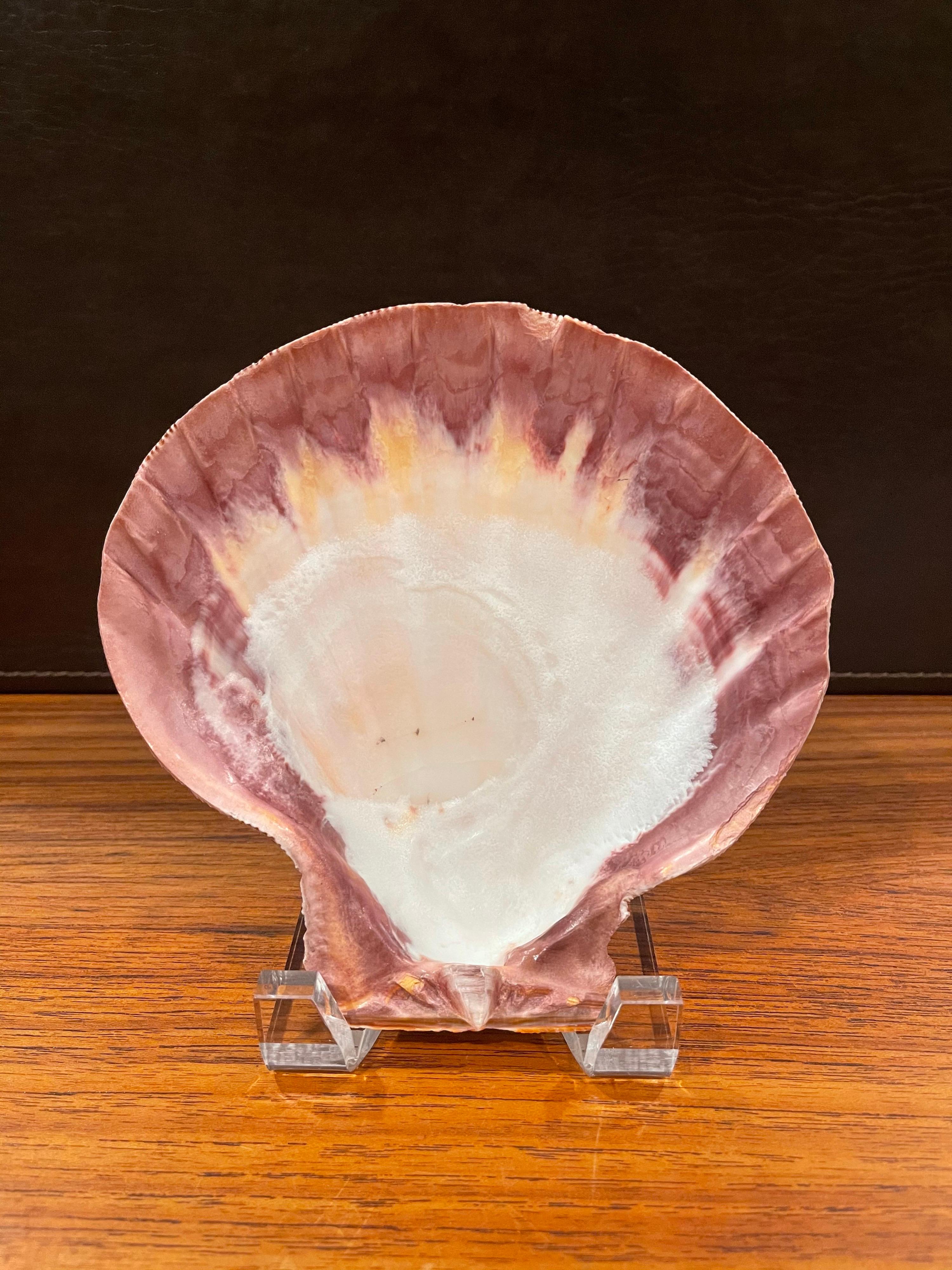 Large Copper Colored Clam Shell Displayed on Lucite Stand For Sale 3