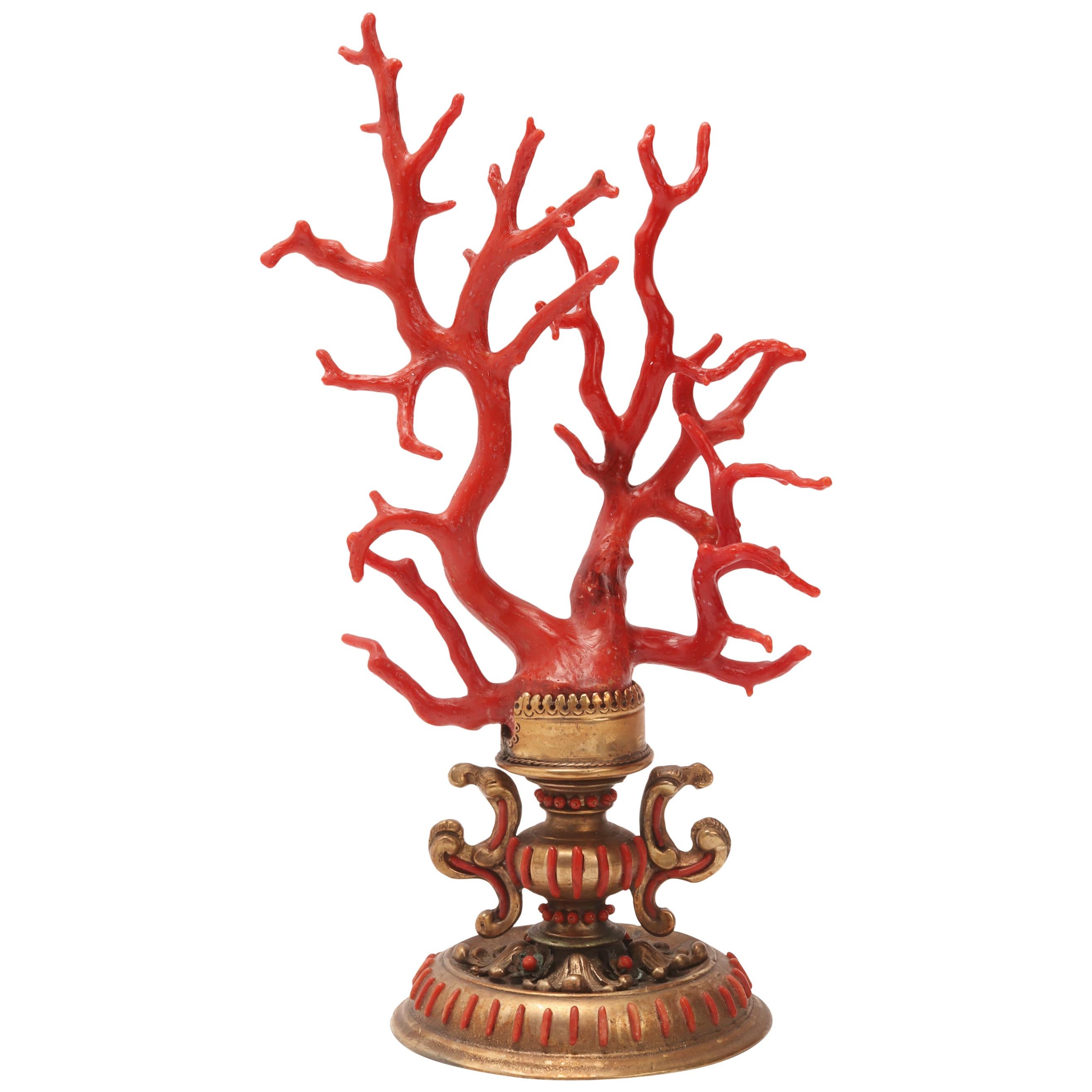Large Coral Branch from Wunderkammer, Italy, 1840