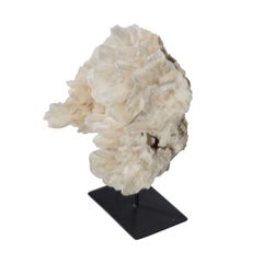 Large Coral On Stand
