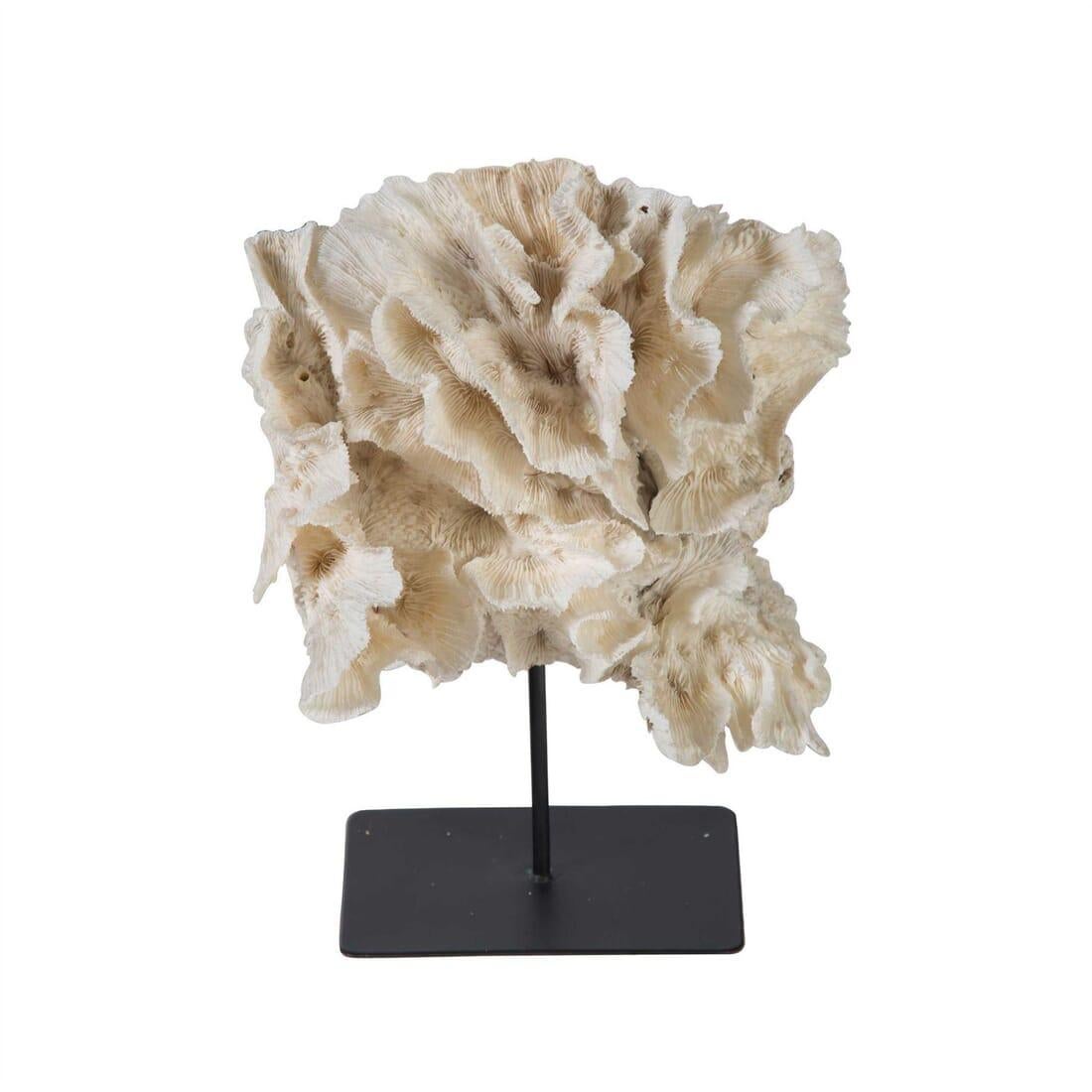 Large Coral On Stand at 1stDibs decorative coral on stand, coral on a