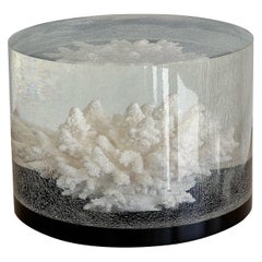 Large Coral Specimen Encase in Lucite Modern Sculpture