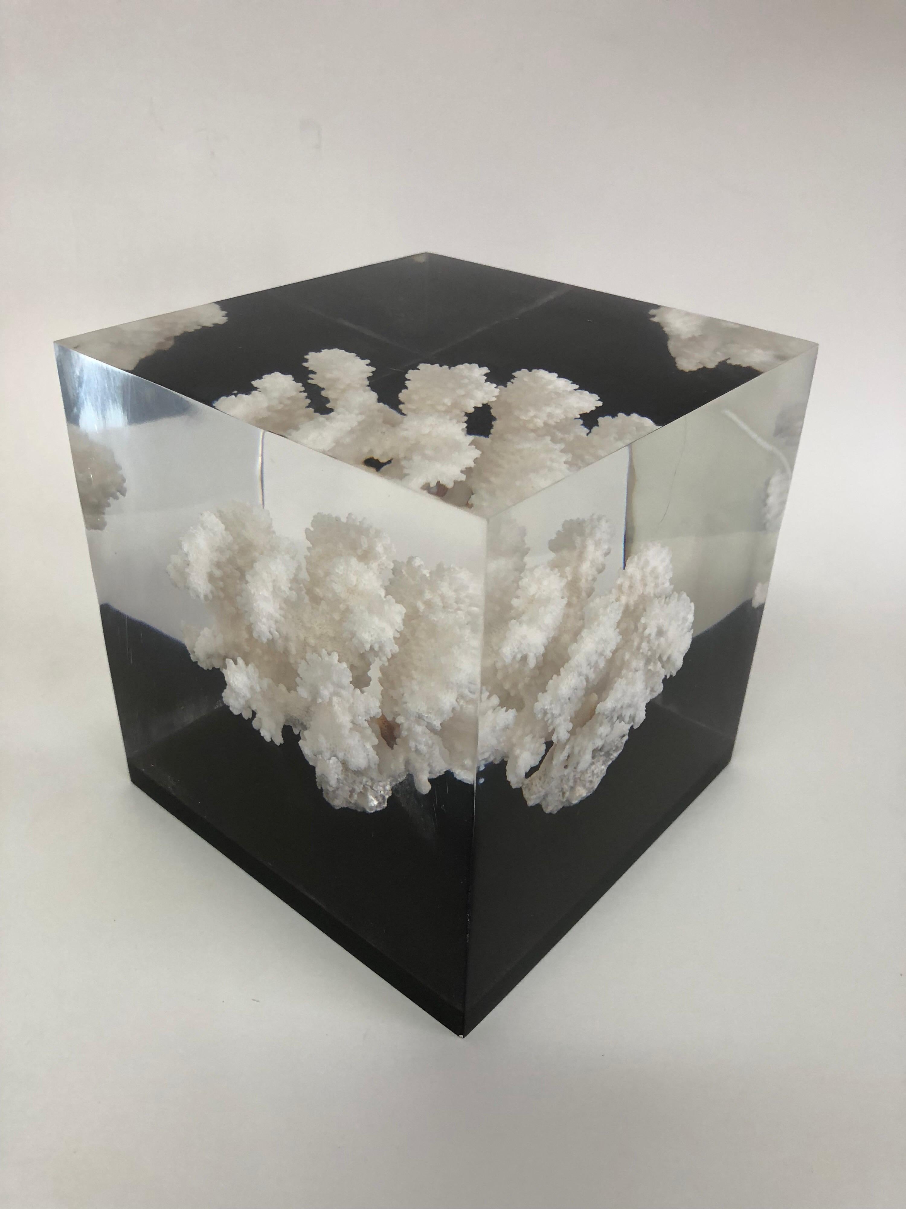 French Large Coral Specimen Sculpture in Lucite Block, 1970s