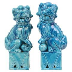 Large Couple Foo Dogs Temple Lions Turquoise Ceramic 25cm