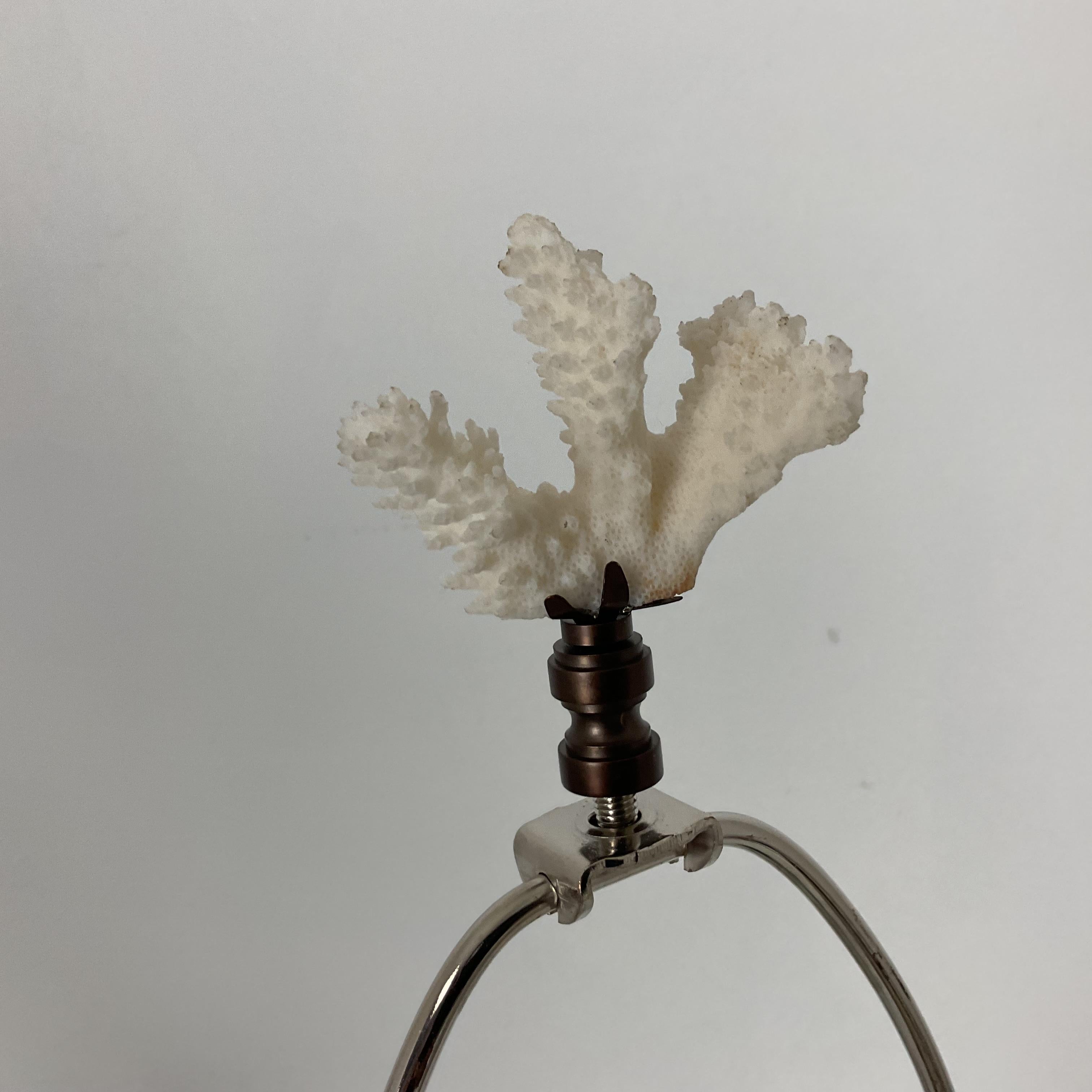Large Crackle Porcelain Nautilus Shell Lamp For Sale 1