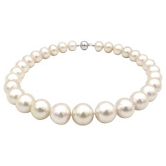 Large Cream South Sea Pearl Necklace