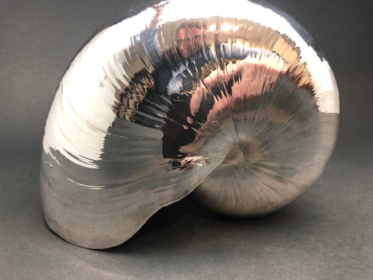 Large Creel and Gow Silvered Nautilus Sea Shell at 1stDibs