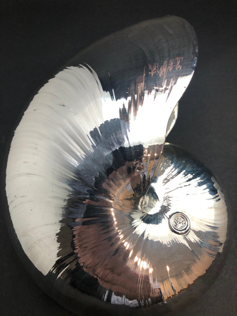 Large Creel and Gow Silvered Nautilus Sea Shell at 1stDibs