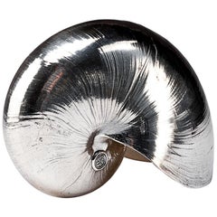 Large Creel and Gow Silvered Nautilus Sea Shell