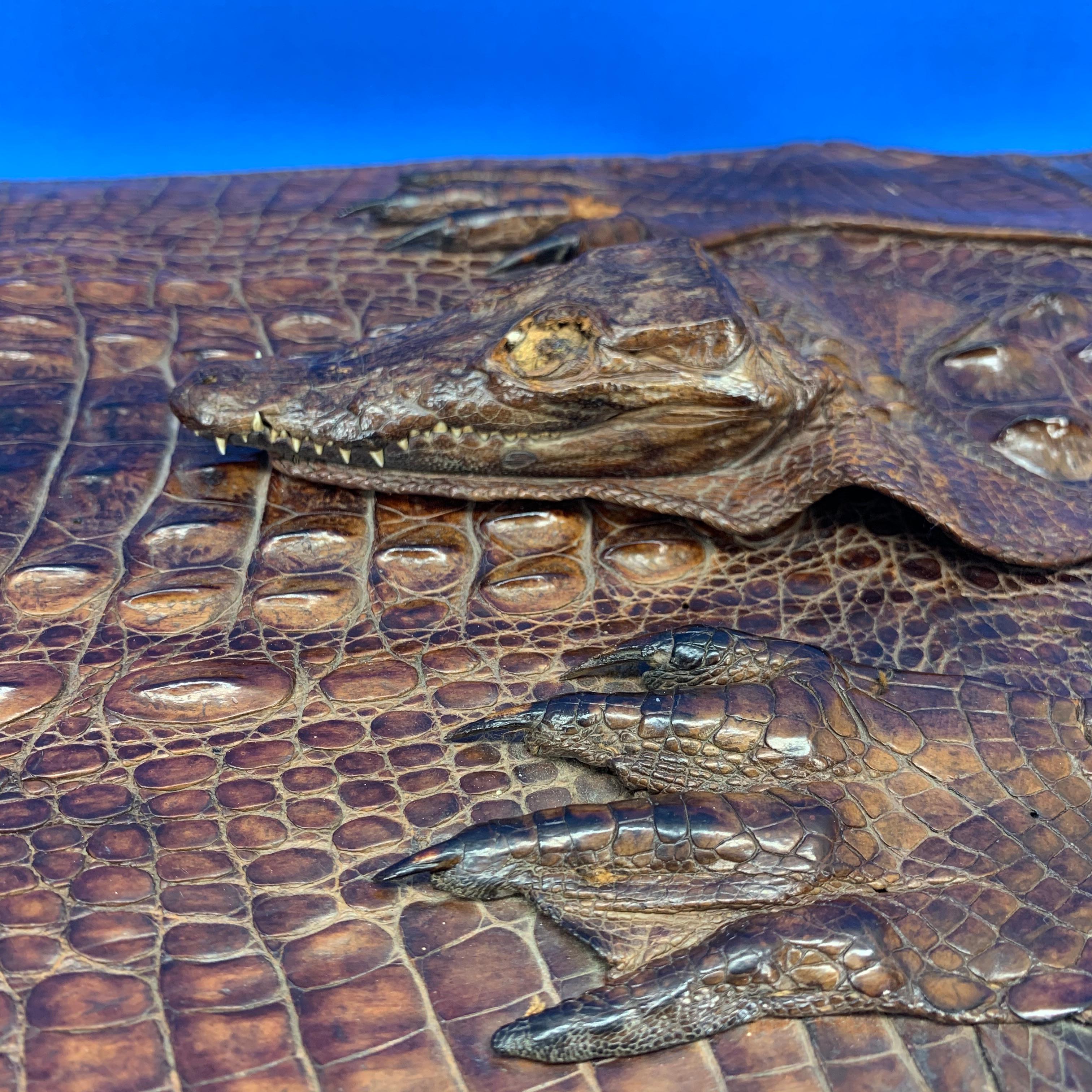 Large Crocodile Attaché Portfolio Desk Accessory For Sale 5