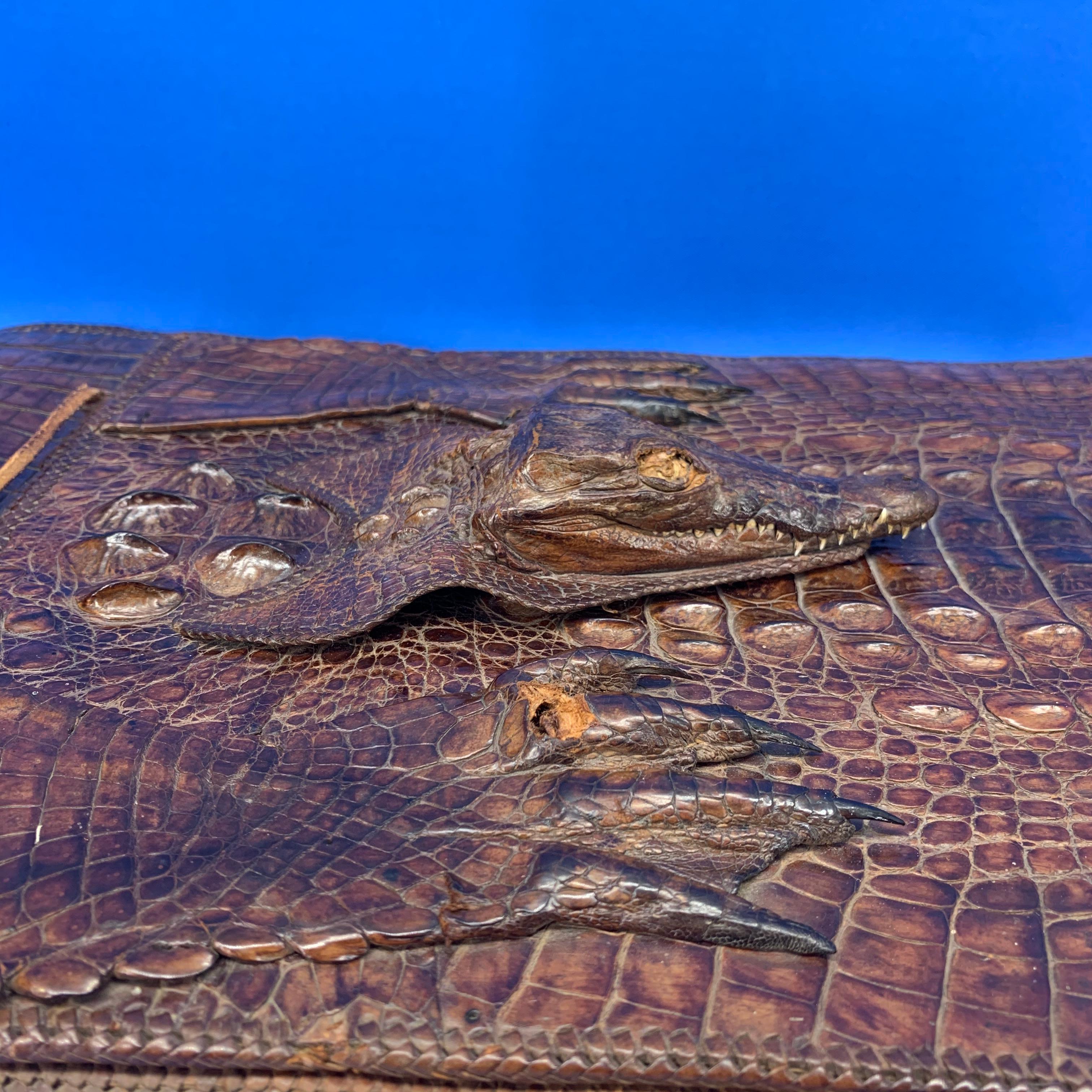 Large Crocodile Attaché Portfolio Desk Accessory For Sale 6