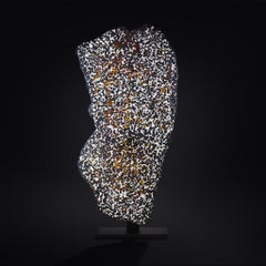 Großer Querschnitt des Sericho-Meteoriten mit durchscheinenden Olivin-Kristallen