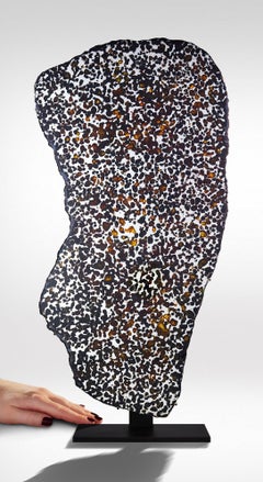 Large Cross-Section of Sericho Meteorite with Translucent Orange Crystals