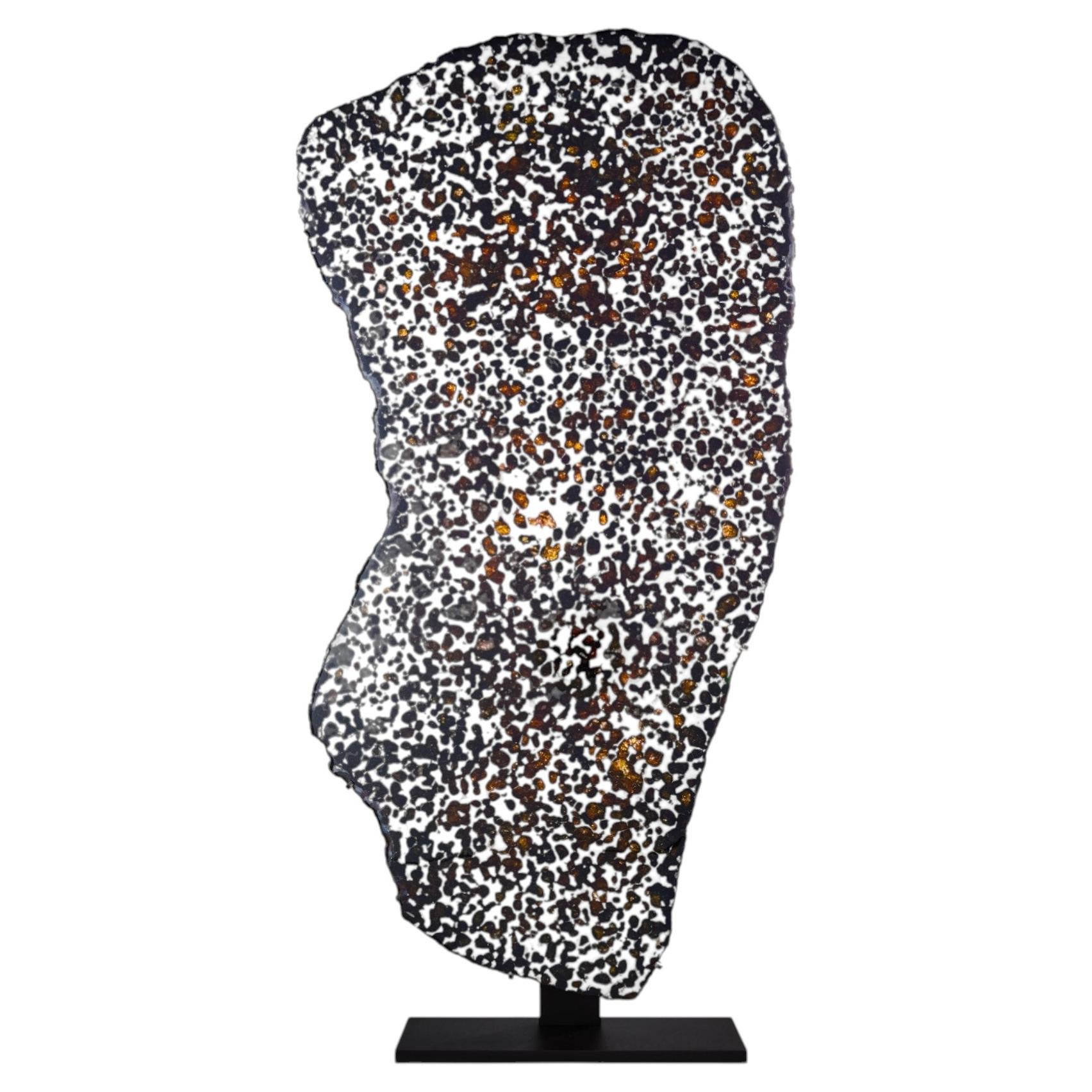 Large Cross-Section of Sericho Meteorite with Translucent Orange Crystals For Sale