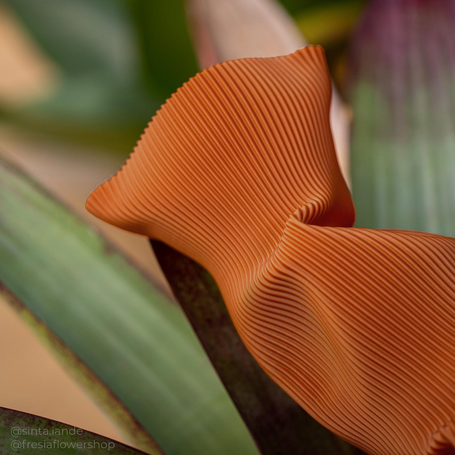 Large Crumpled Vase in Terracotta 3D Printed Plant Based Plastic Posmoderno en venta