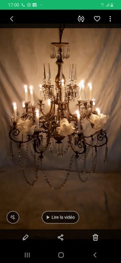 Large Crystal and Tulip Tassel Chandelier