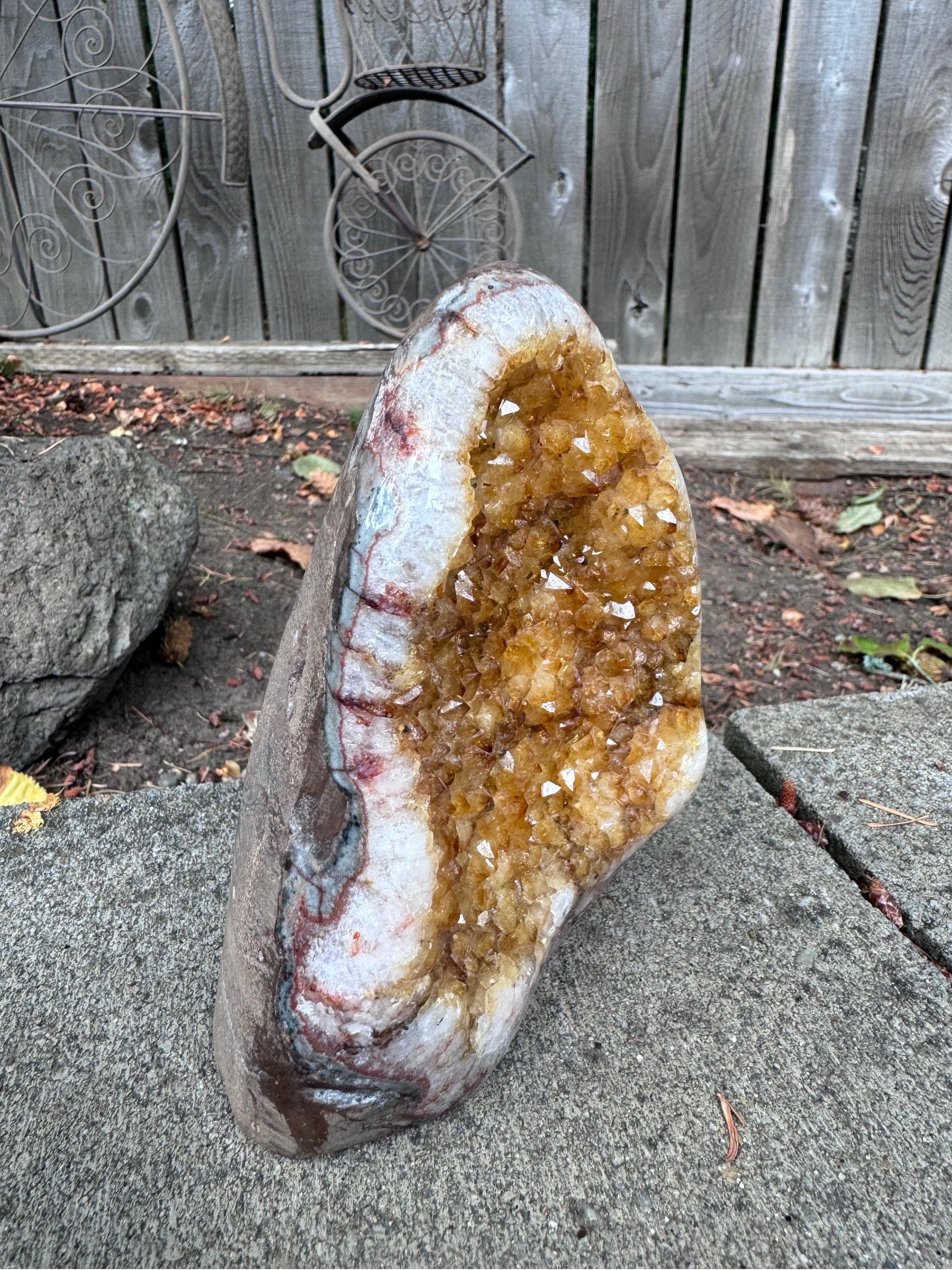 Verschönern Sie Ihren Raum mit der natürlichen Schönheit dieser fesselnden Citrin-Geode aus Uruguay. Im Gegensatz zu vielen brasilianischen Citrinen, die oft wärmebehandelt und mit Zement zusammengehalten werden, ist dieser uruguayische Schatz
