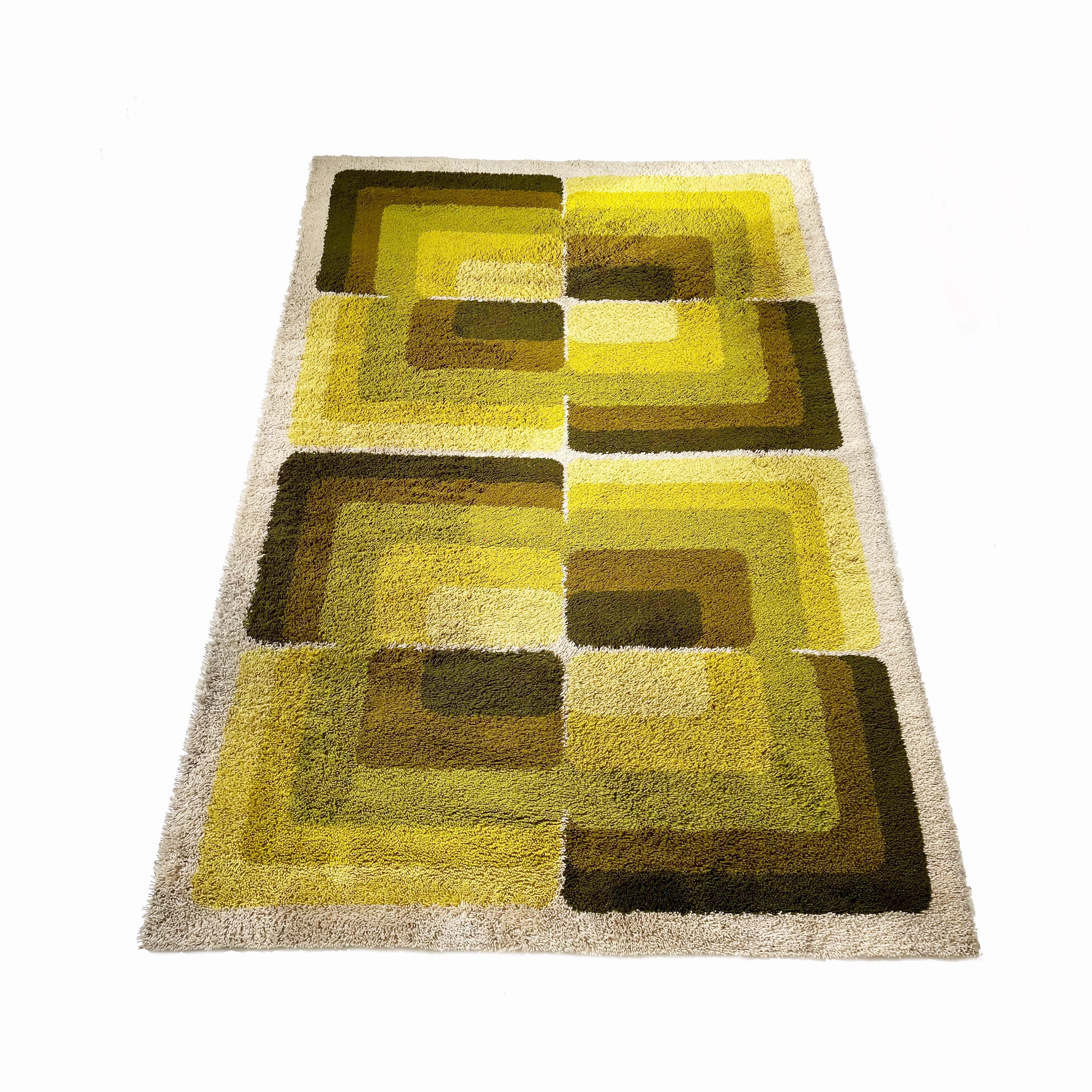 Article:

Original huge high pile rug multi-color 