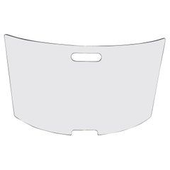 Large Curved Glass Design Fireplace Screen