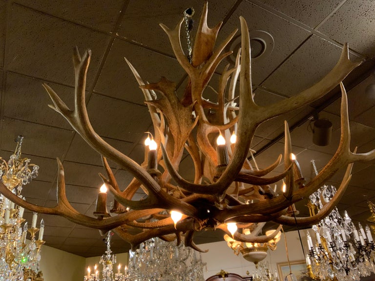 Large Custom Made Elk And Fallow Deer Antler Chandelier Fourteen Lights For At 1stdibs Large Custom Made Elk And Fallow Deer, Custom Made Antler Chandelier