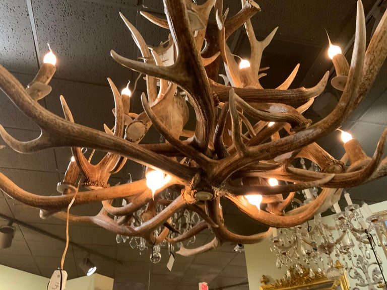 Large Custom Made Elk And Fallow Deer Antler Chandelier Fourteen Lights For At 1stdibs Large Custom Made Elk And Fallow Deer, Custom Made Antler Chandelier