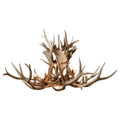 Large Custom Made Elk and Fallow Deer Antler Chandelier, Fourteen Lights