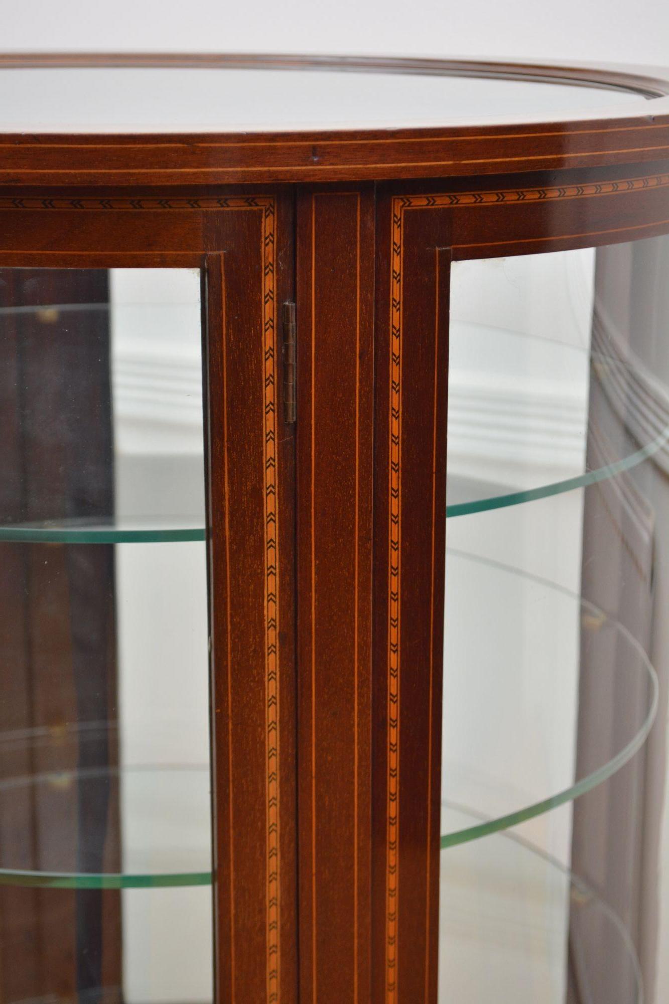 Large Cylindrical Edwardian Display Cabinet For Sale 4