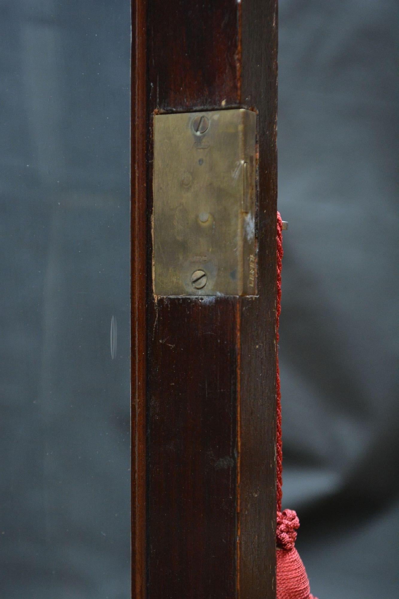Large Cylindrical Edwardian Display Cabinet For Sale 5