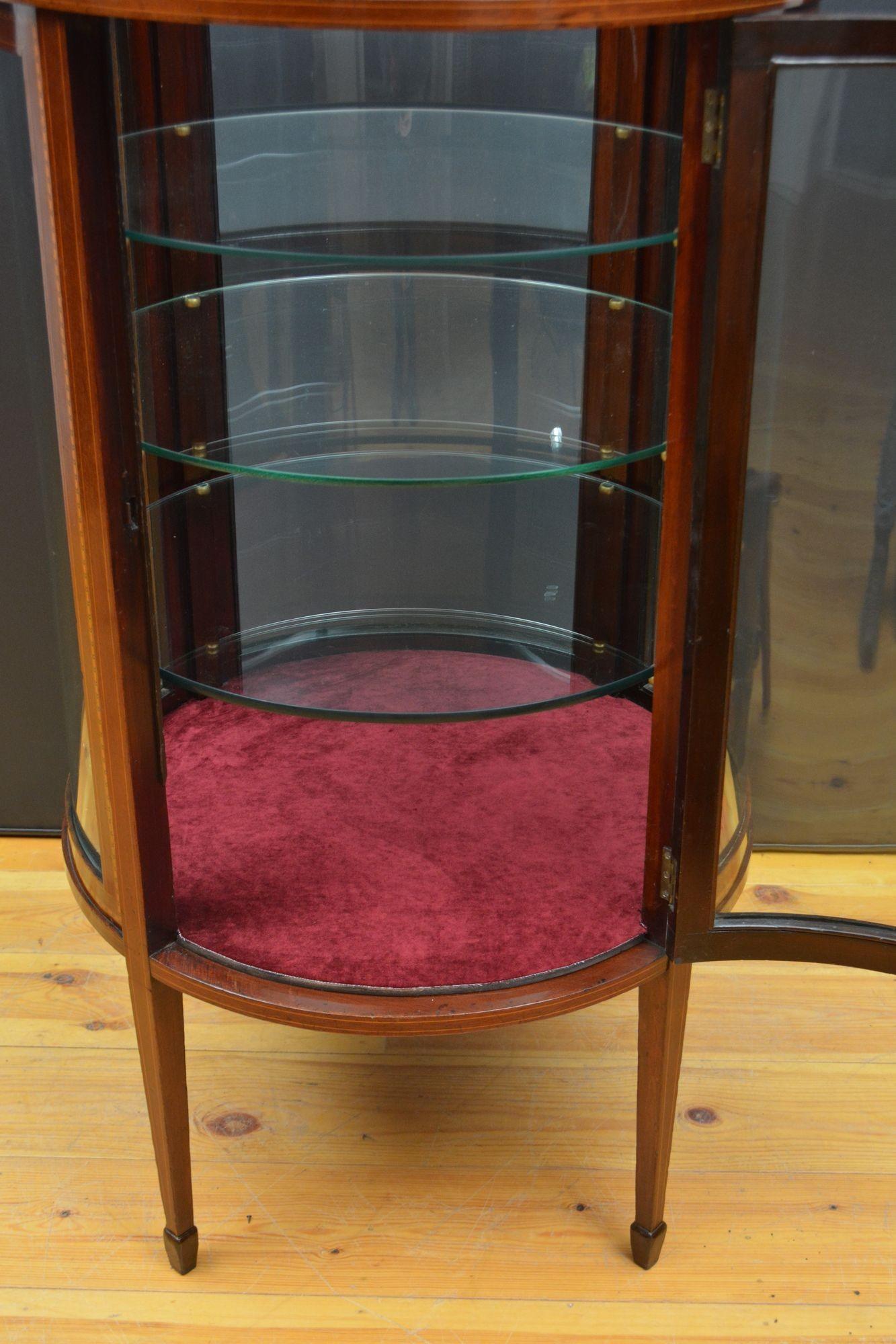 Large Cylindrical Edwardian Display Cabinet For Sale 7