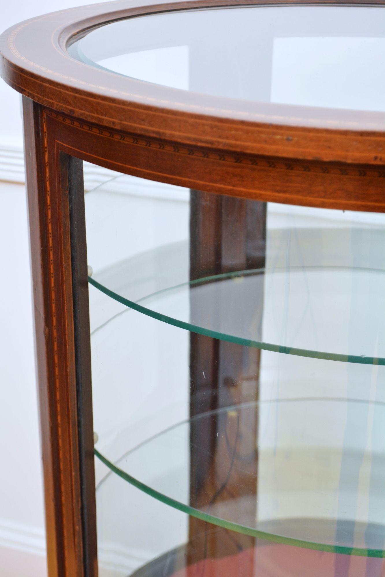 Large Cylindrical Edwardian Display Cabinet For Sale 3