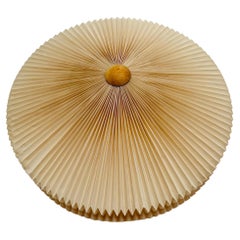 Beech Flush Mount