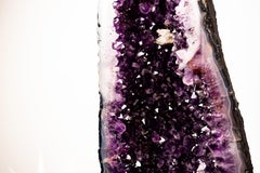 Large Dark Purple Amethyst Geode (AAA Grade)