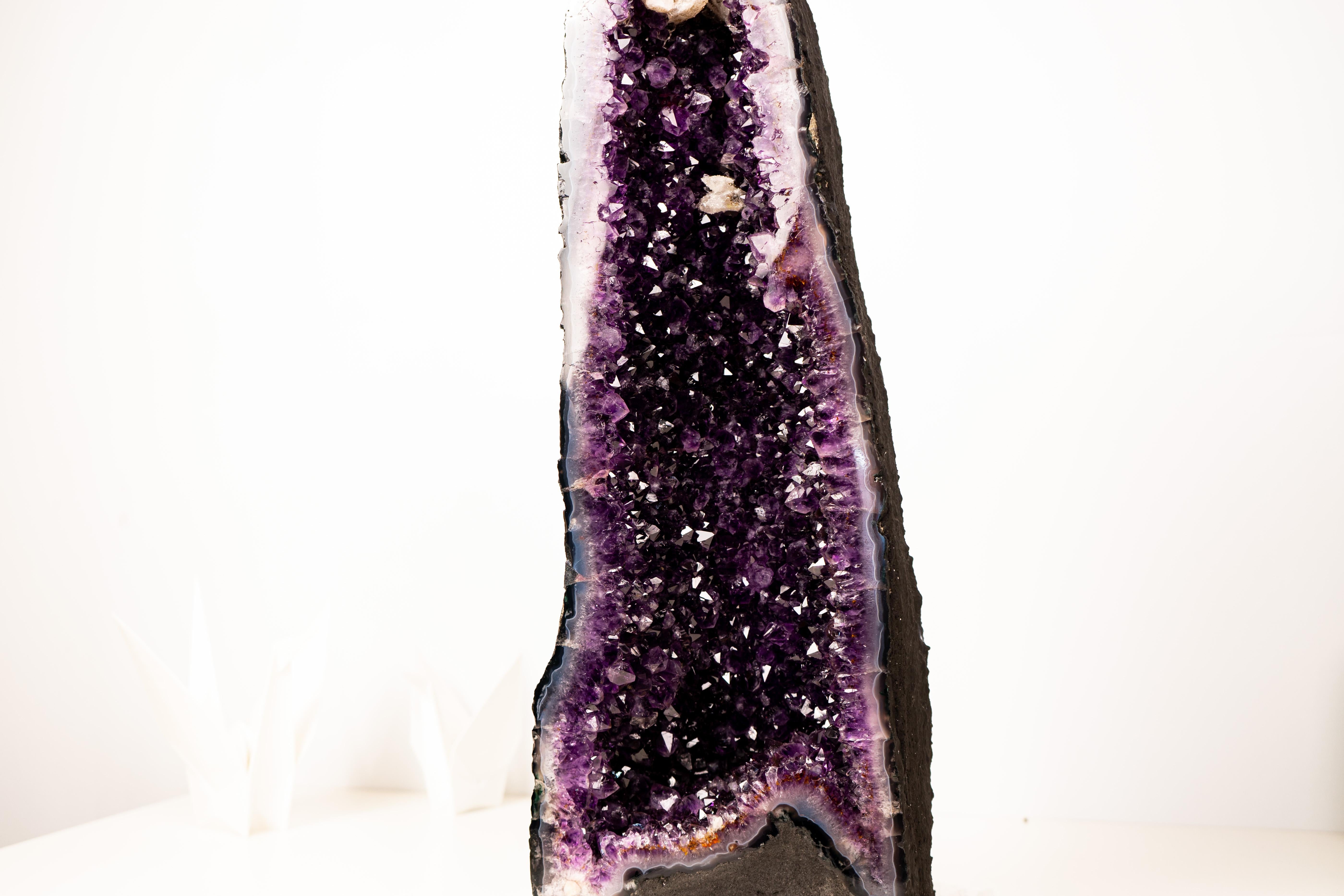 Geoda grande de amatista morada oscura (grado AAA) Siglo XXI y contemporáneo en venta