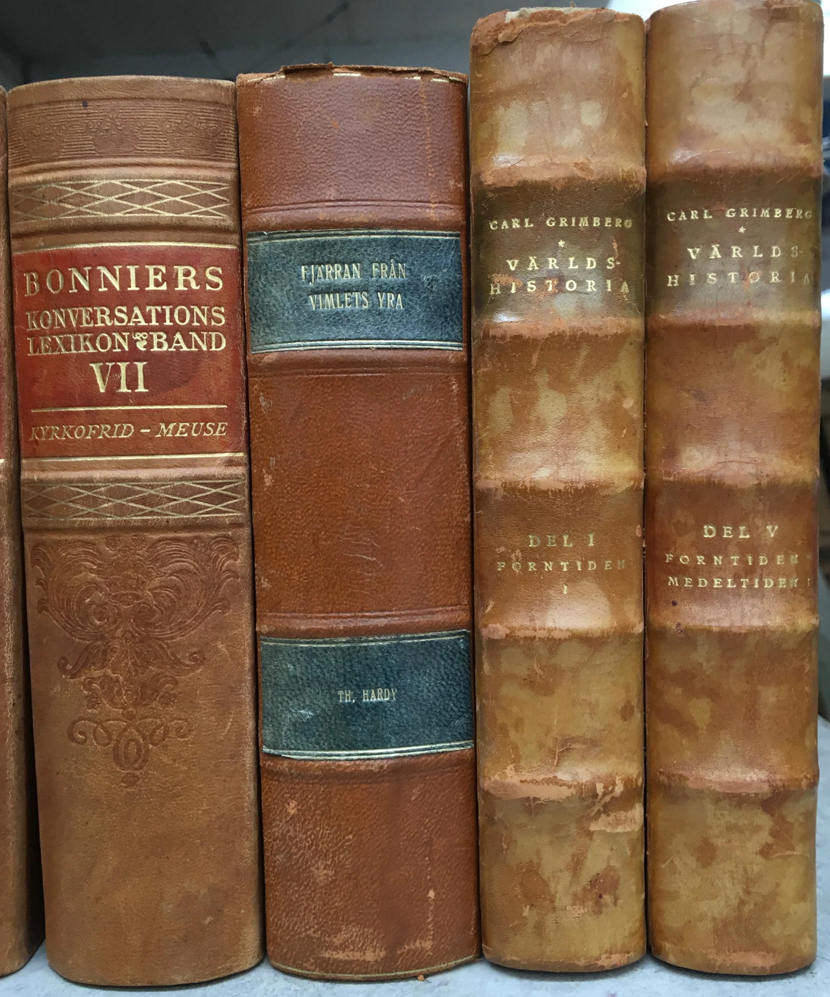 Livres anciens reliés en cuir Scandinavian Antiques, 2000 livres disponibles en Brown et Red  en vente 2