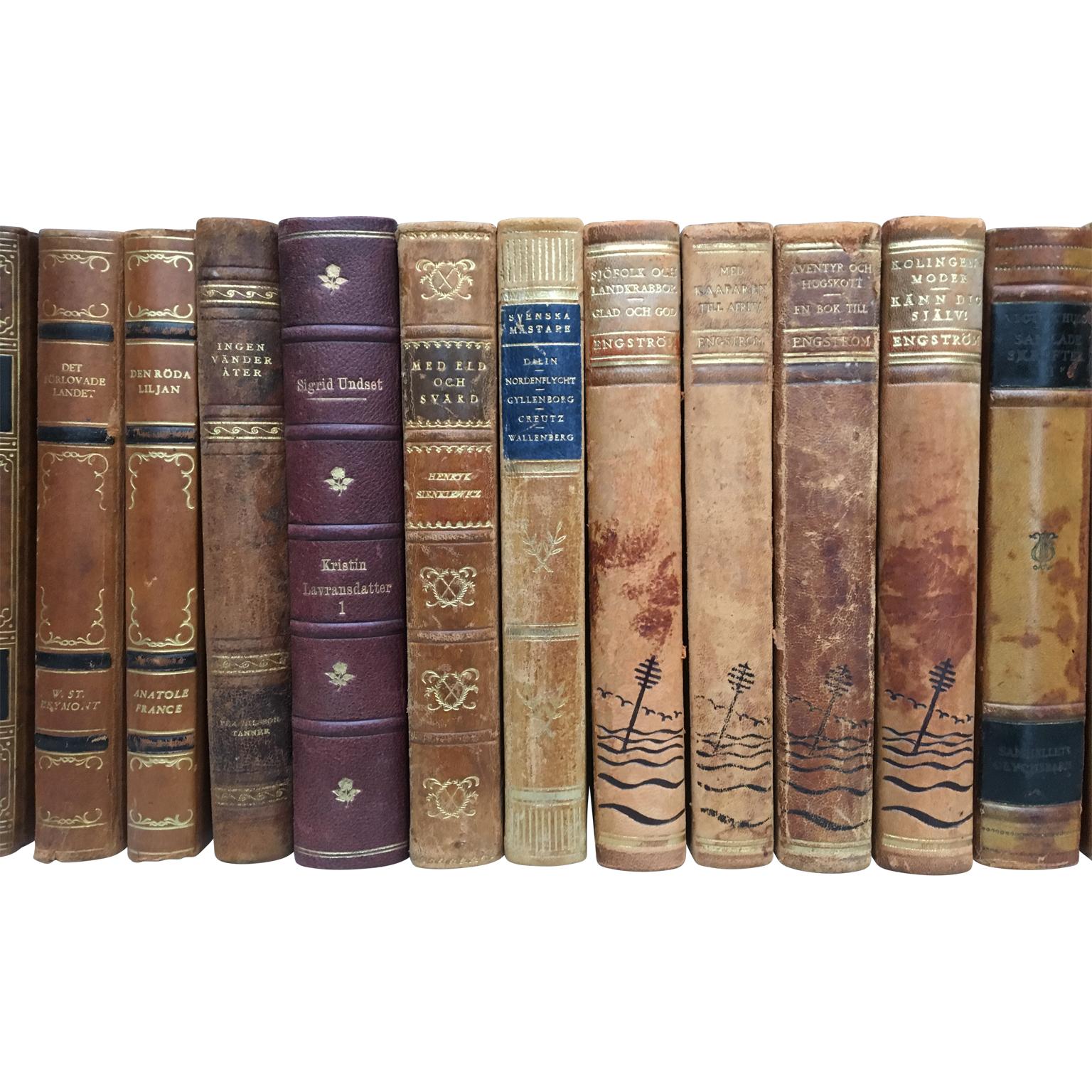 Cuir Livres anciens reliés en cuir Scandinavian Antiques, 2000 livres disponibles en Brown et Red  en vente