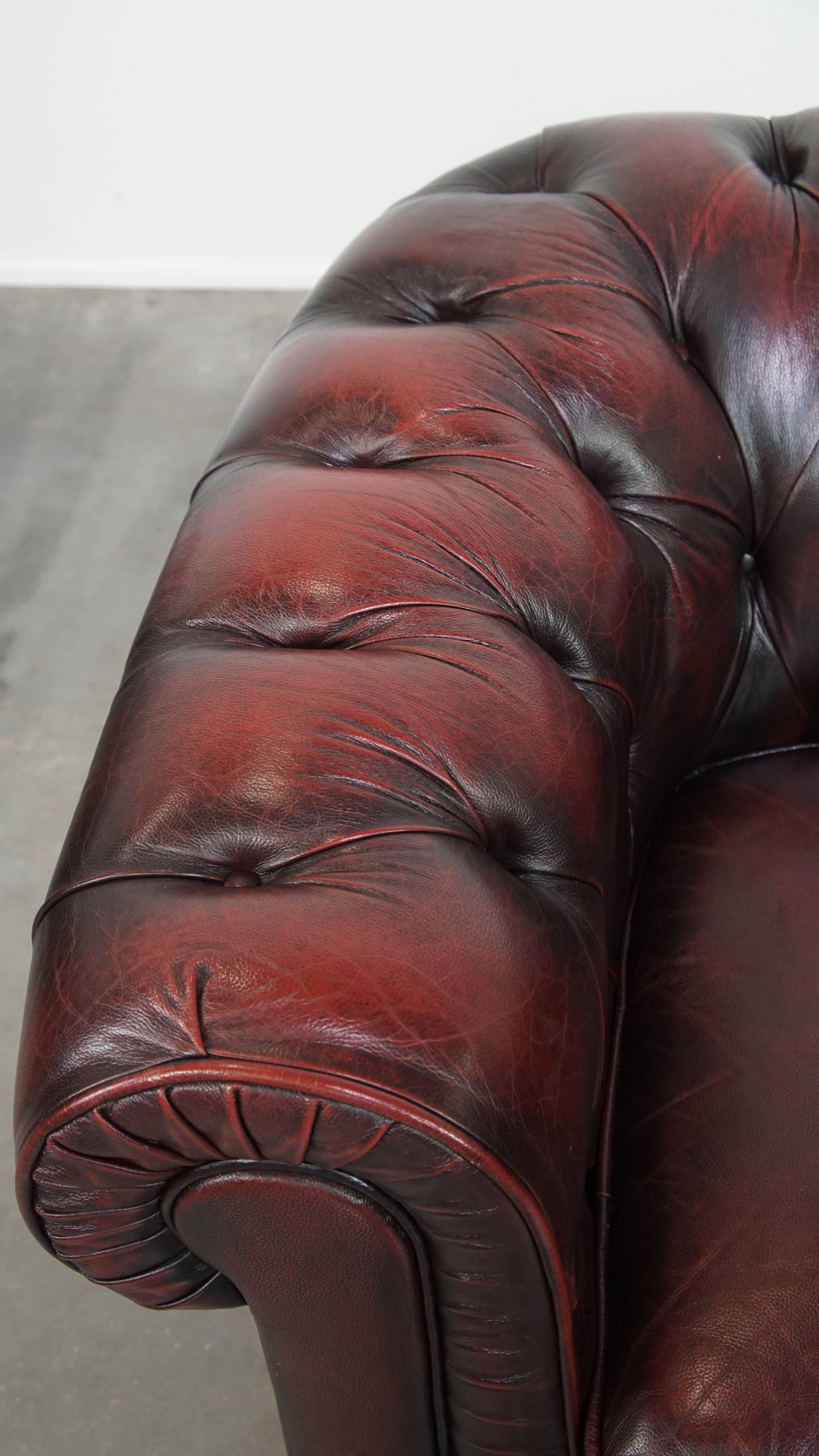 Sedia da club Chesterfield in pelle di vacchetta rosso intenso in vendita 1