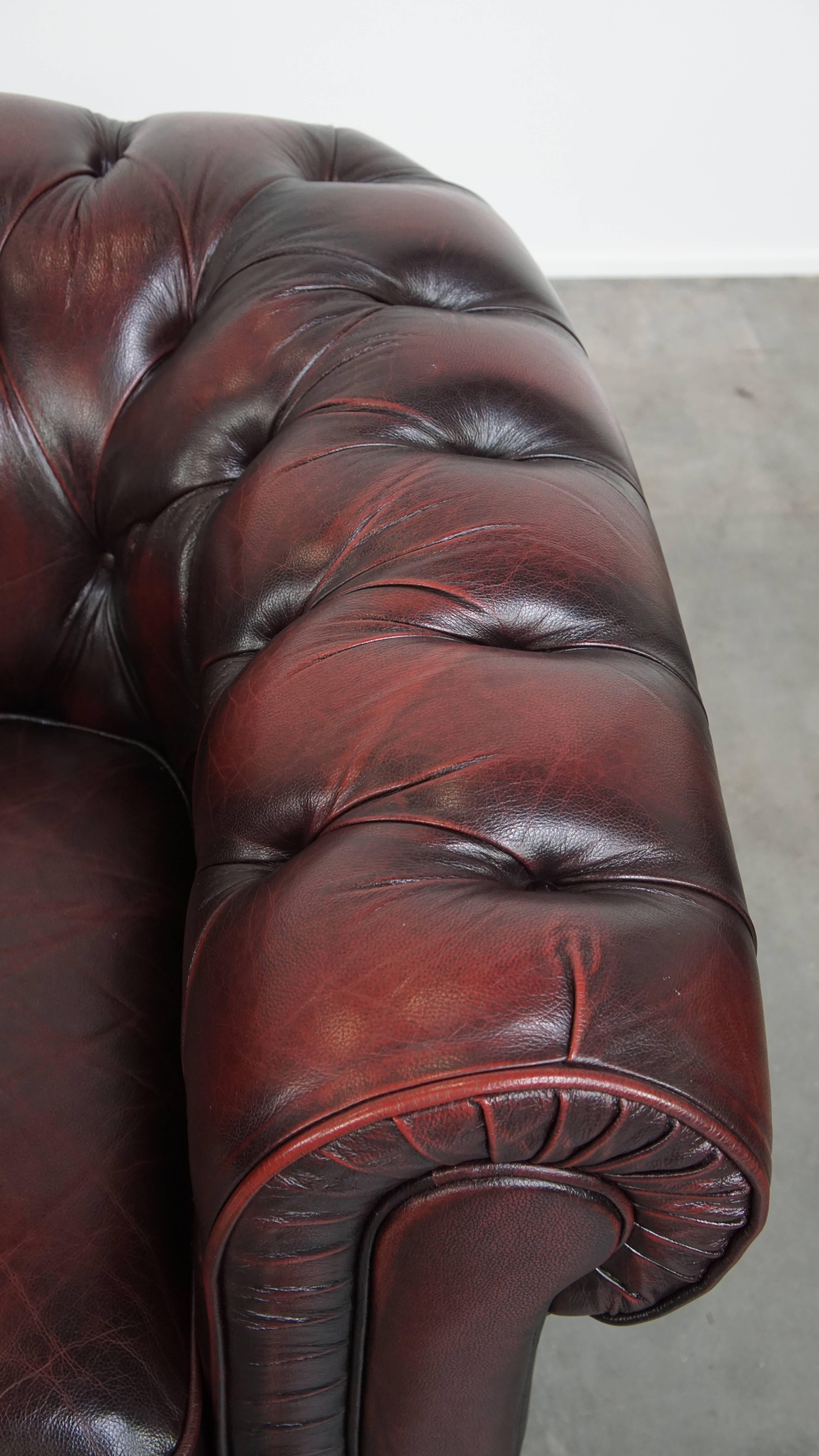 Sedia da club Chesterfield in pelle di vacchetta rosso intenso in vendita 2
