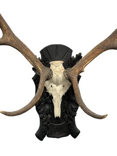 Large Deer Antler Trophy Vintage Black Forest Wood Carved Plaque, Austria, 1930s