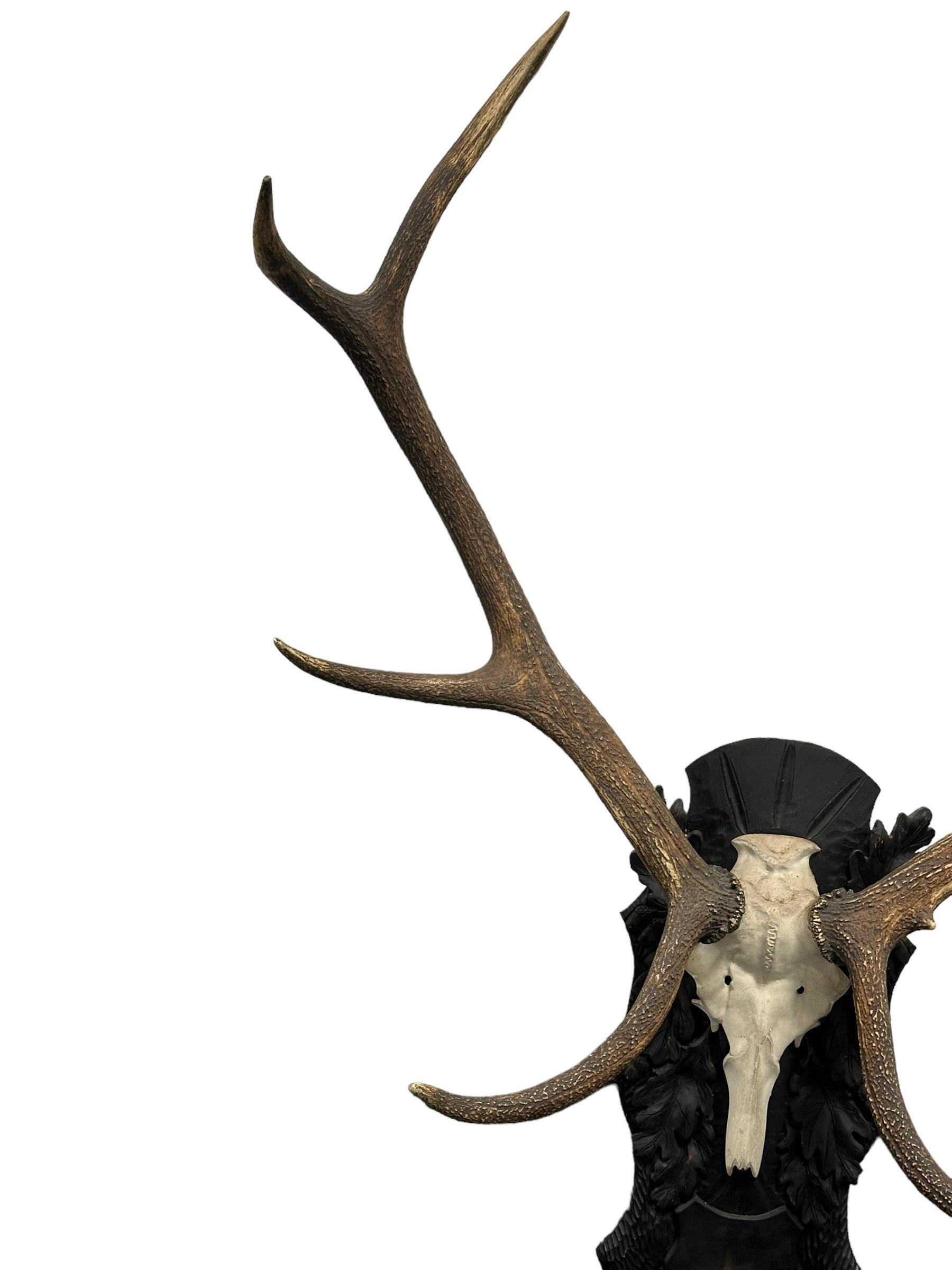 Austrian Large Deer Antler Trophy Vintage Black Forest Wood Carved Plaque, Austria, 1930s For Sale