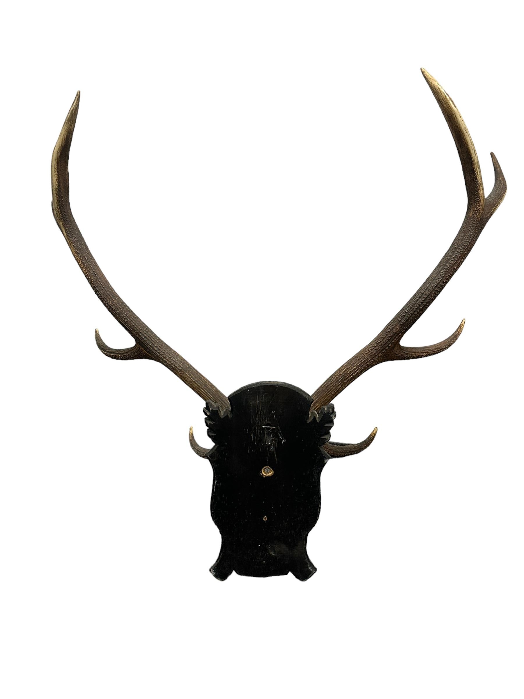 Hand-Carved Large Deer Antler Trophy Vintage Black Forest Wood Carved Plaque, Austria, 1930s For Sale