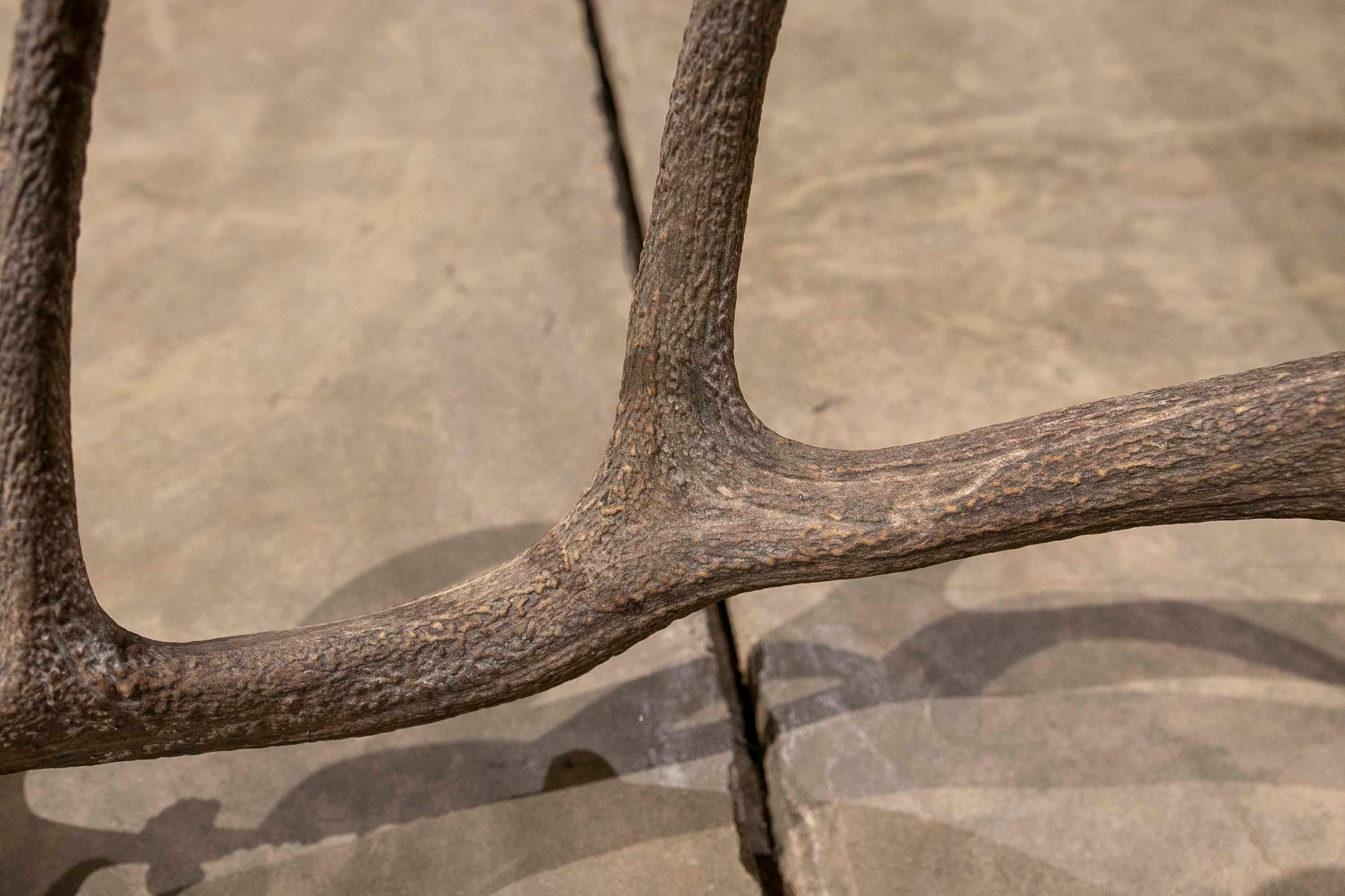 Bone Large Deer Antlers for Wall Hanging For Sale