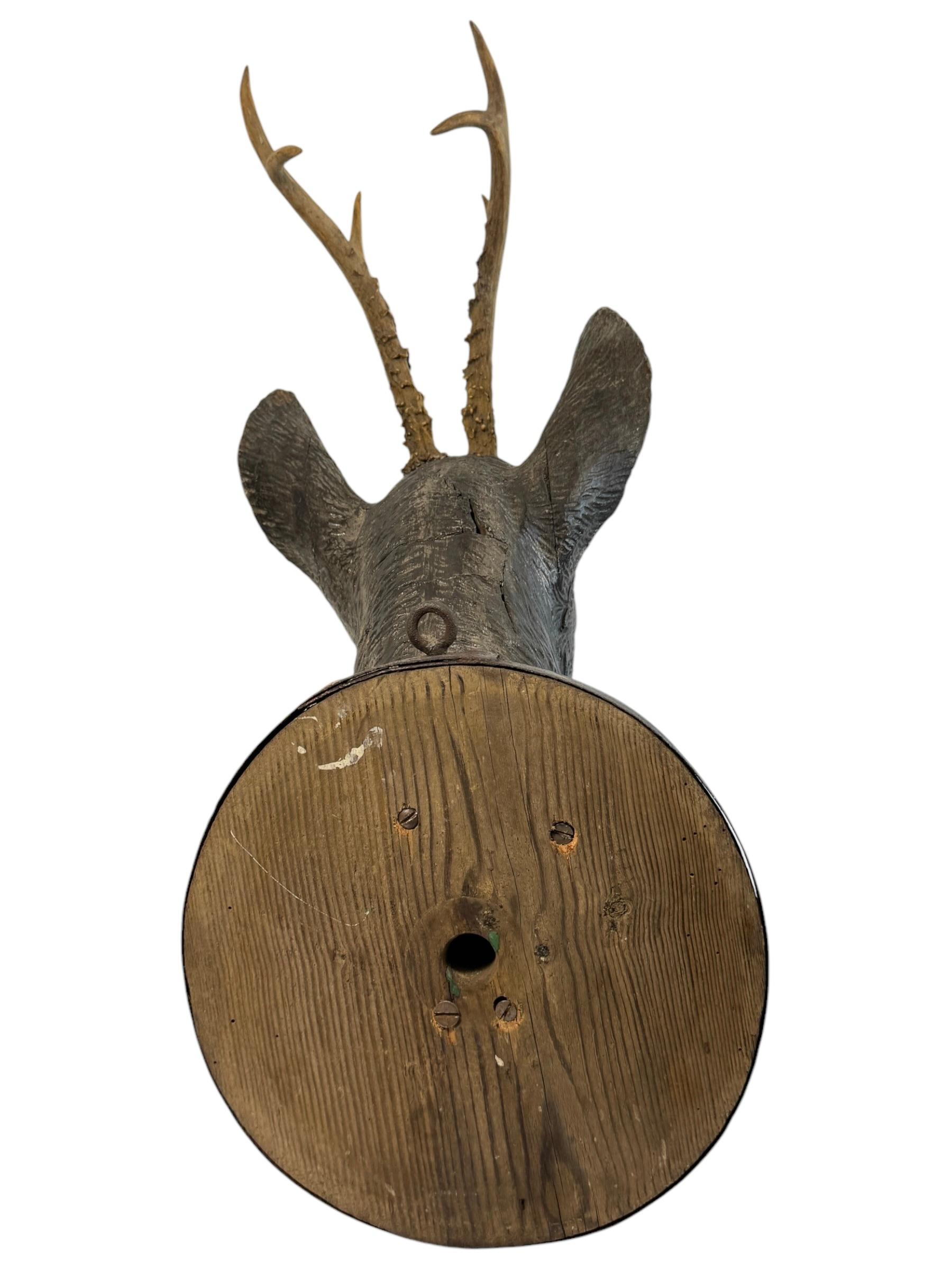Large Deer Head Shooting Lodge Sign Black Forest Folk Art Wooden Trophy 1893 For Sale 6