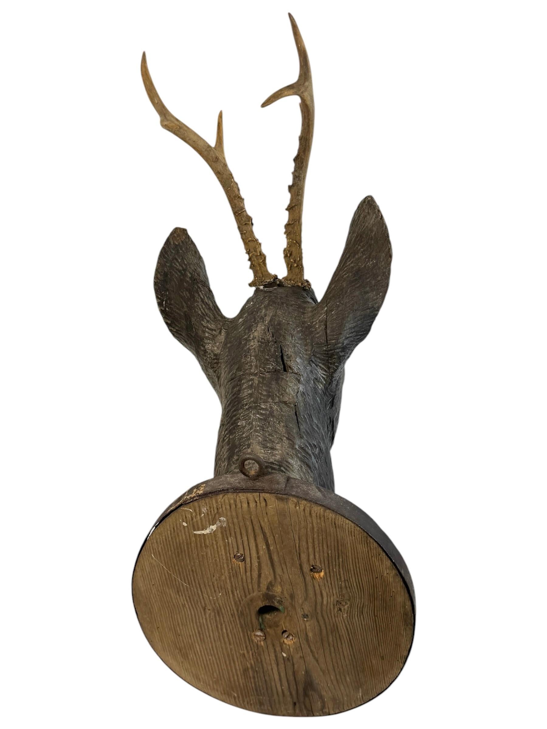 Large Deer Head Shooting Lodge Sign Black Forest Folk Art Wooden Trophy 1893 For Sale 7