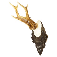 Großer Hirsch Trophäe Mount auf hölzernen geschnitzten Plaque