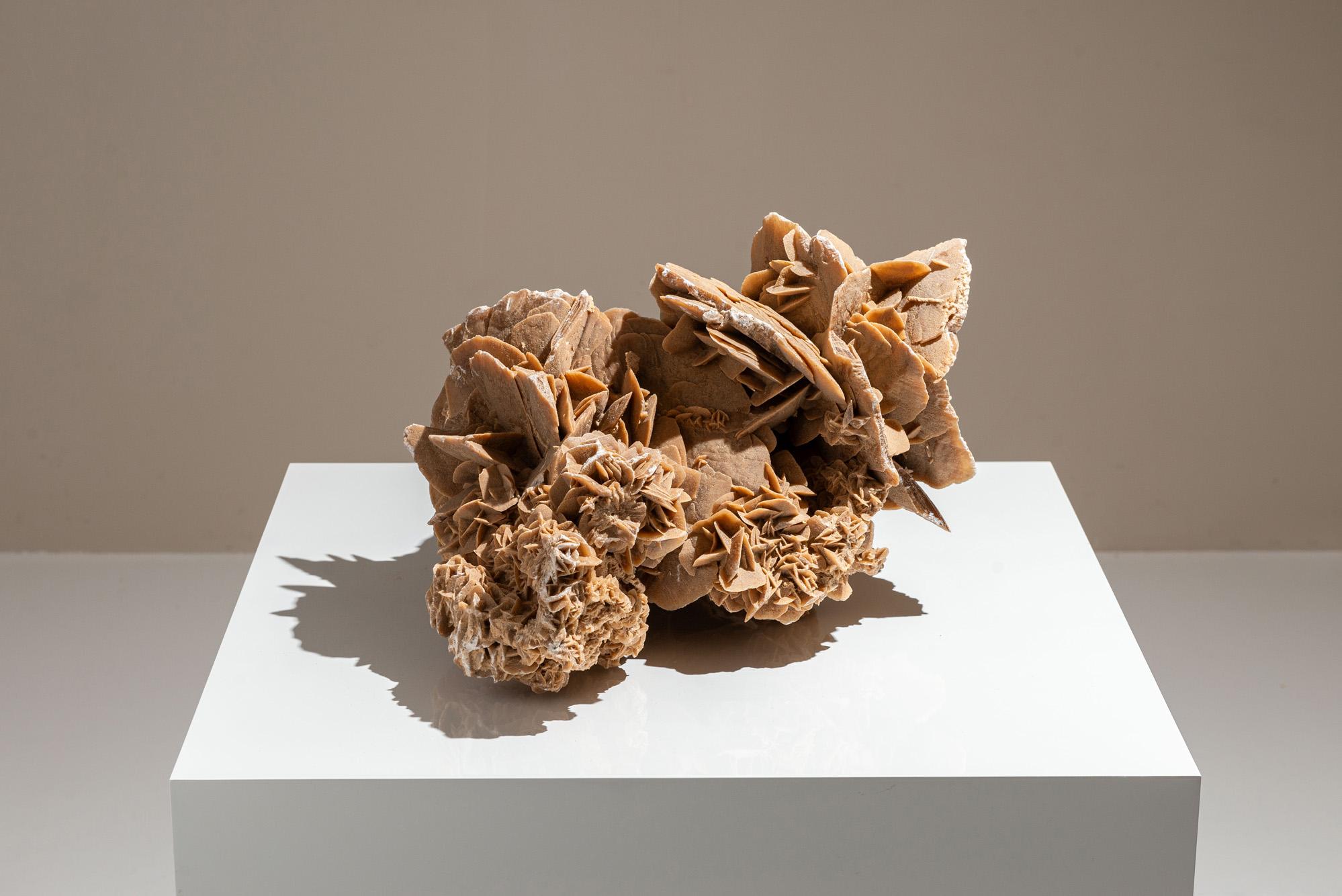 La Rosa del Deserto è un impressionante gruppo di formazioni cristalline che si formano naturalmente nelle regioni aride e sabbiose, come il deserto. Composta principalmente da selenite (una varietà di gesso) e granelli di sabbia, cresce in forme